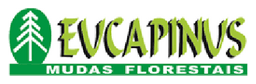 Eucapinus